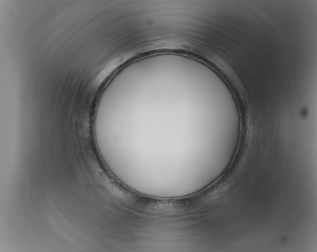 X0000112540834200909071420