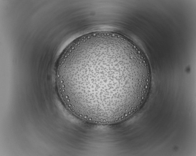 X0000112540835200909071420