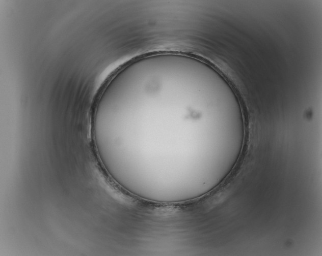 X0000112540838200909071420