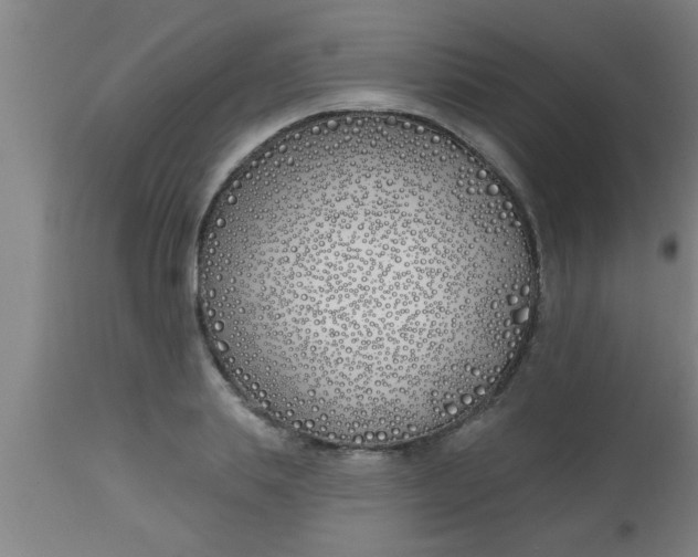 X0000112540839200909071420
