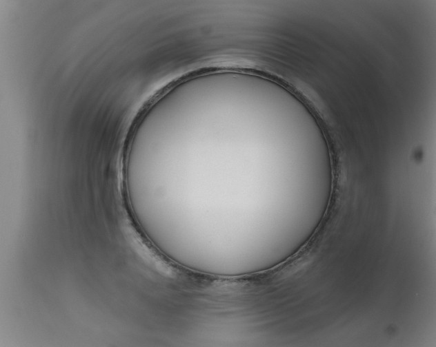 X0000112540840200909071420