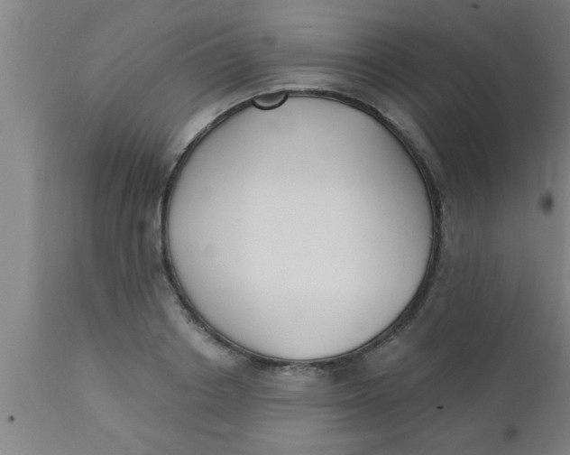 X0000112540842200909071420