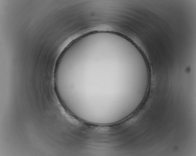 X0000112540845200909071420