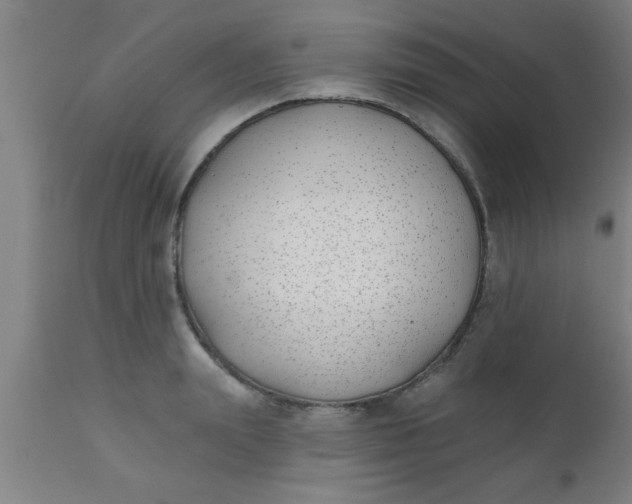 X0000112540847200909071420