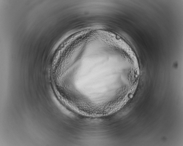 X0000112540851200909071420