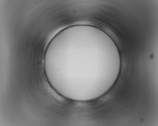 X0000112540852200909071420