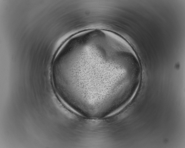 X0000112540854200909071420