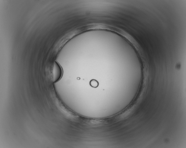 X0000112540857200909071420