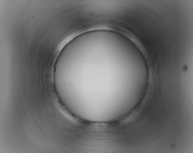 X0000112540858200909071420