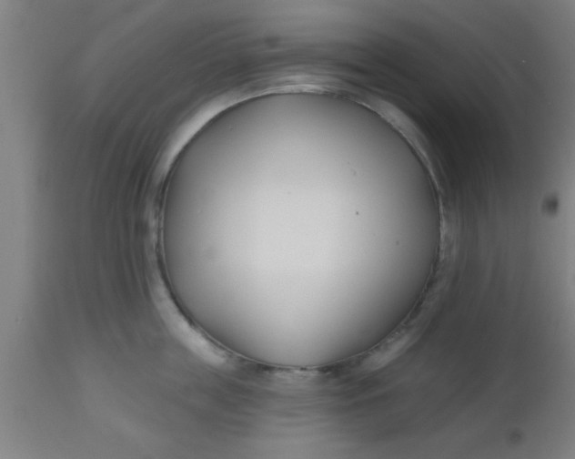 X0000112540859200909071420
