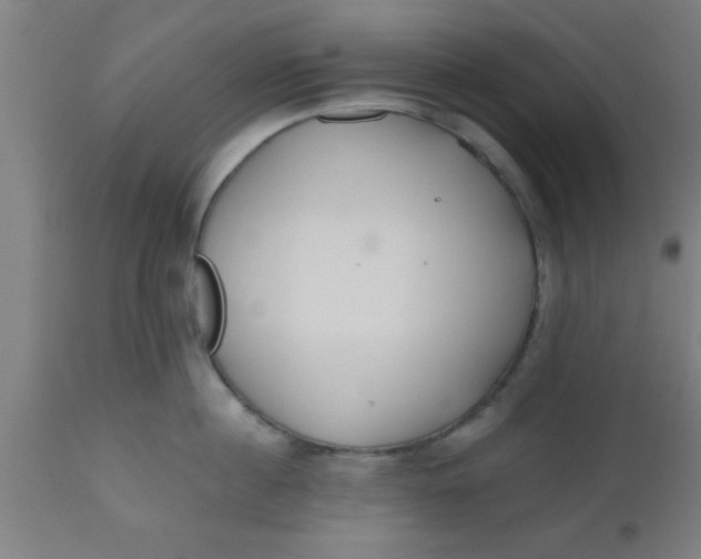 X0000112540860200909071420