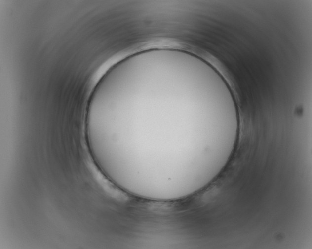 X0000112540861200909071420