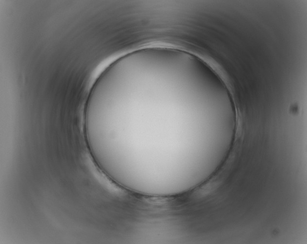 X0000112540862200909071420
