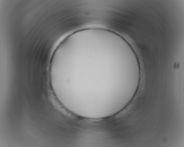 X0000112540864200909071420