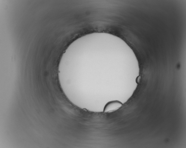 X0000112540865200909071419