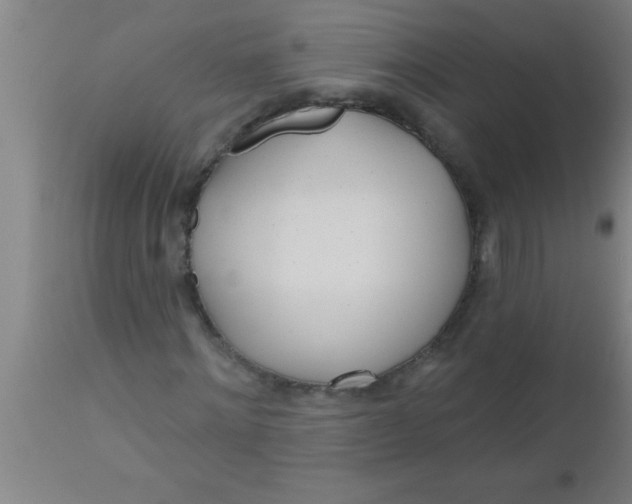 X0000112540868200909071419