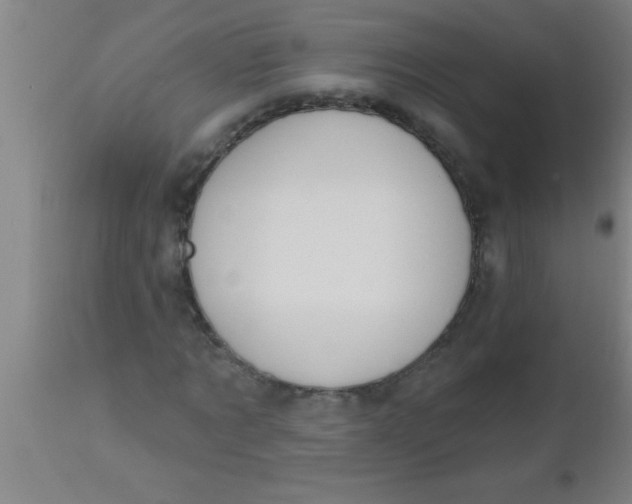 X0000112540869200909071419
