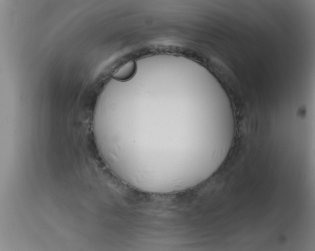 X0000112540870200909071419
