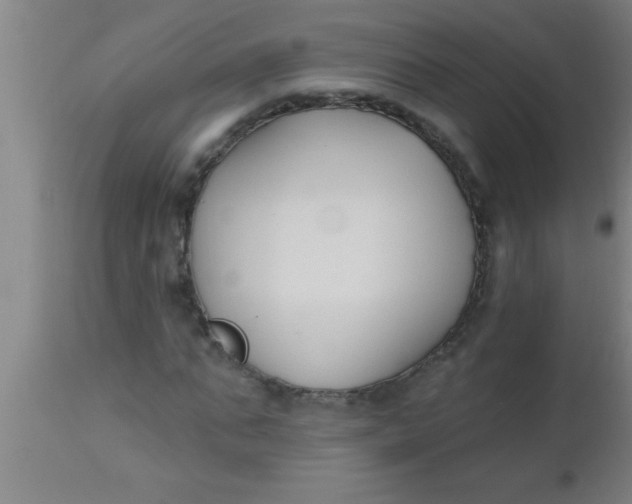 X0000112540871200909071419