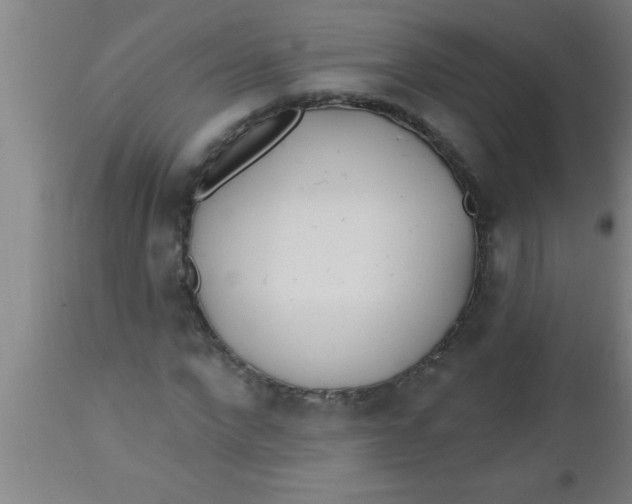 X0000112540872200909071419