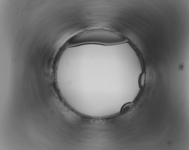 X0000112540876200909071419