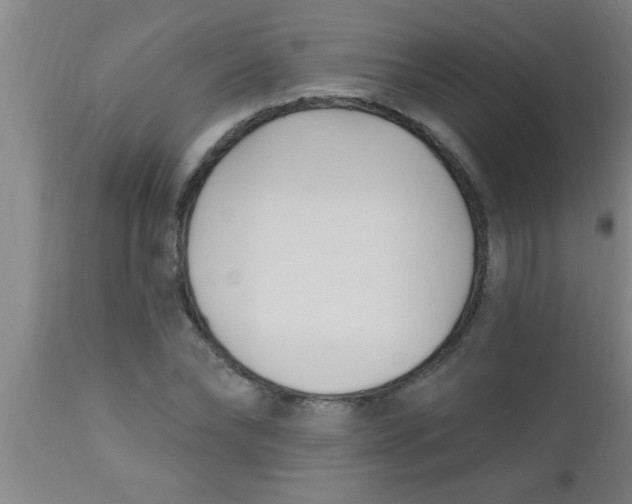X0000112540878200909071419