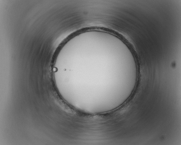 X0000112540879200909071419