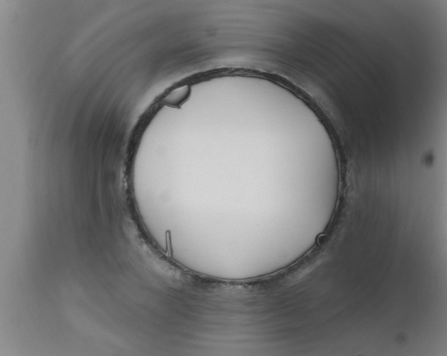 X0000112540880200909071419