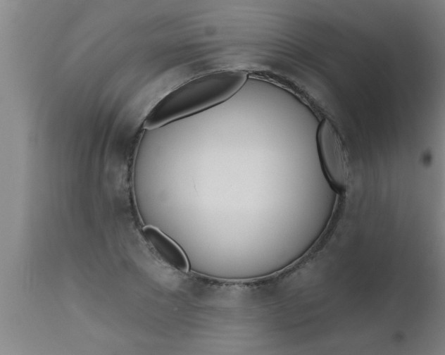 X0000112540881200909071419