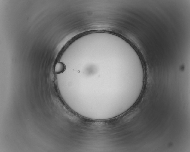 X0000112540883200909071419