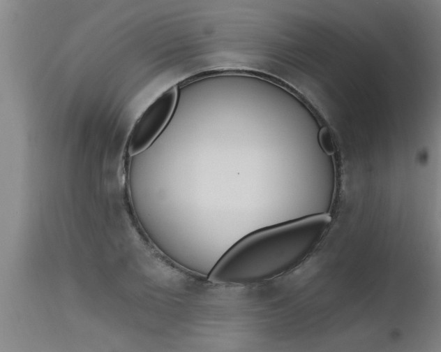 X0000112540885200909071419