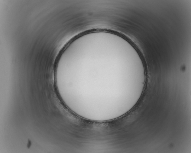 X0000112540887200909071419