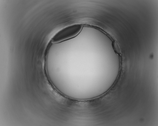 X0000112540888200909071419