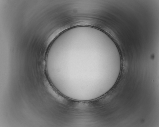 X0000112540890200909071419