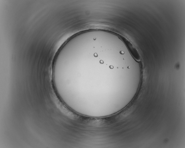 X0000112540891200909071419