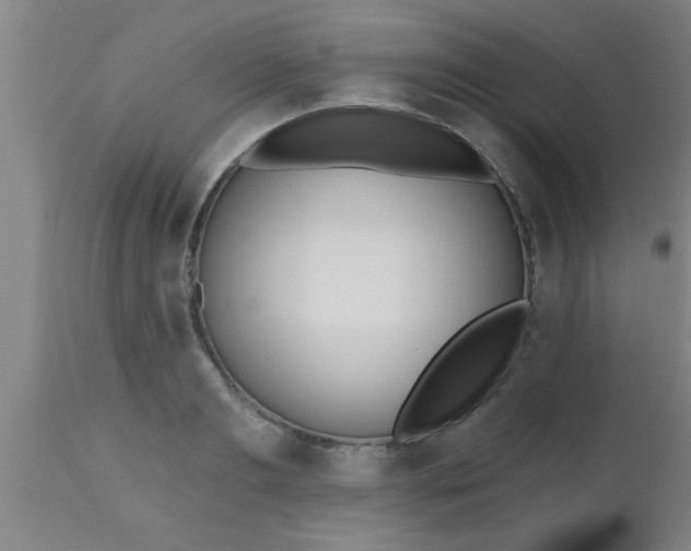 X0000112540893200909071419