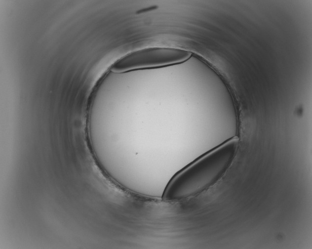 X0000112540896200909071419