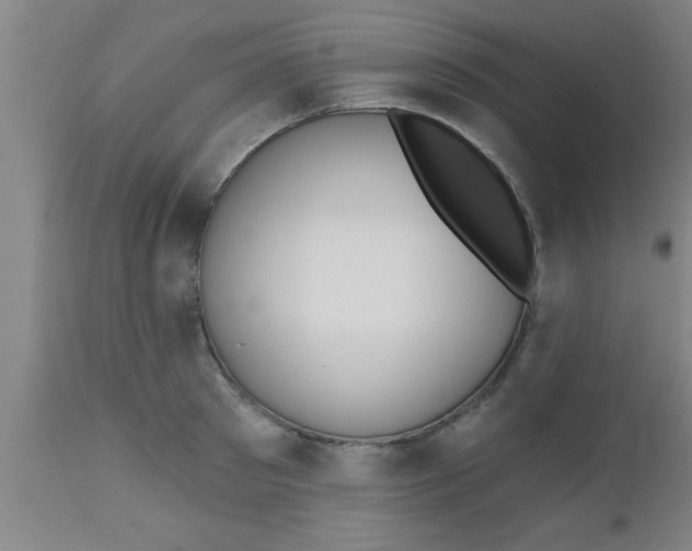 X0000112540897200909071419
