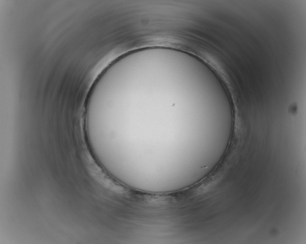 X0000112540899200909071419