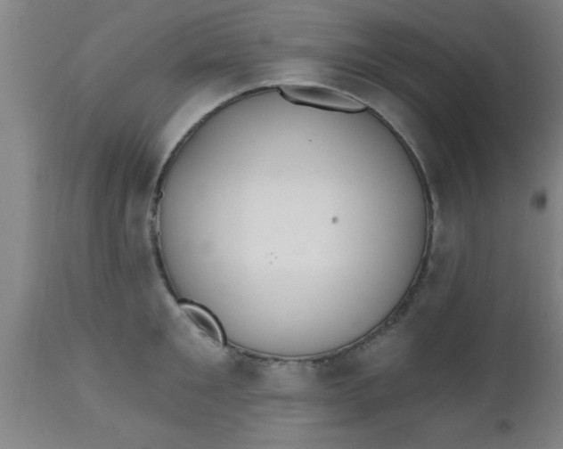 X0000112540901200909071419