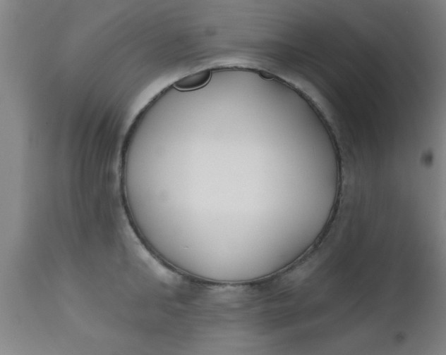 X0000112540902200909071419
