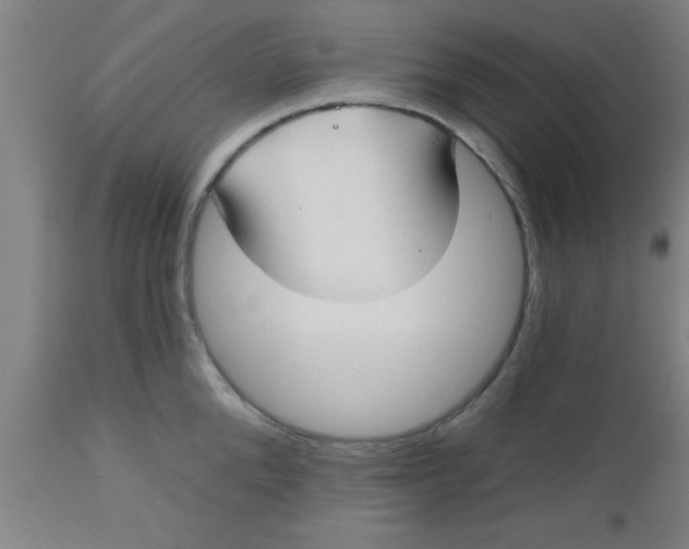 X0000112540904200909071419