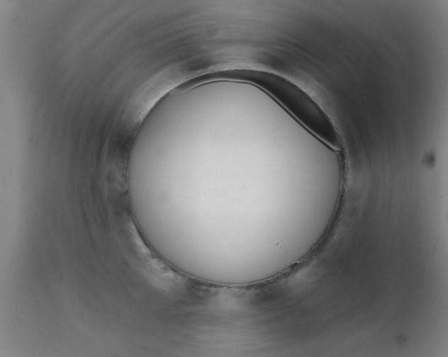 X0000112540905200909071419