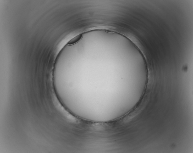 X0000112540906200909071419