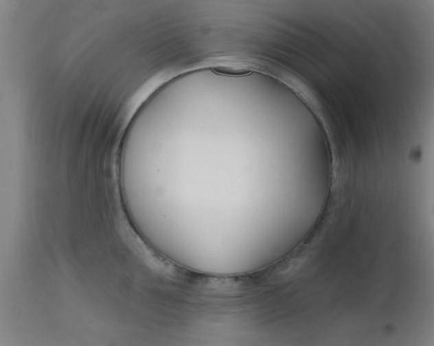 X0000112540907200909071419