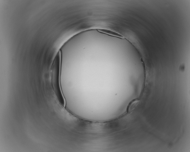 X0000112540908200909071419