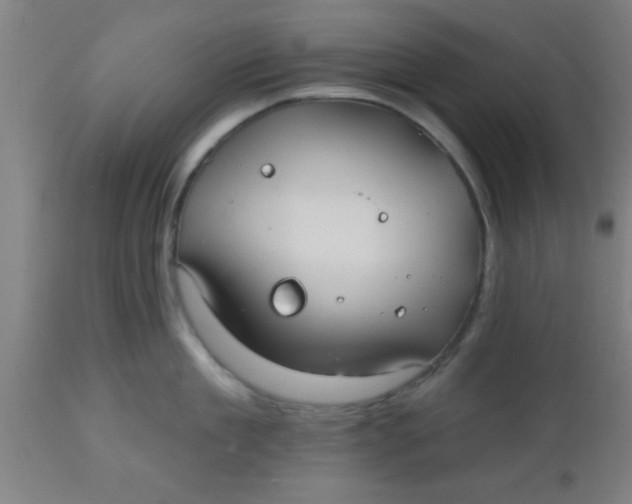 X0000112540909200909071419