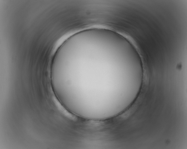 X0000112540910200909071419