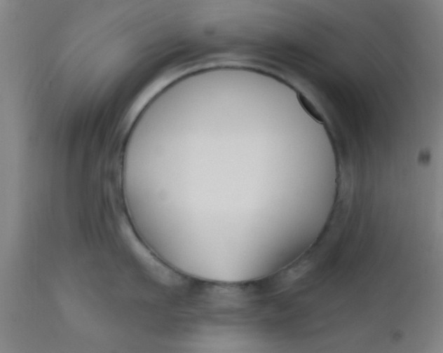 X0000112540911200909071419