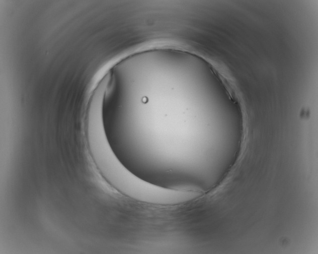 X0000112540912200909071419